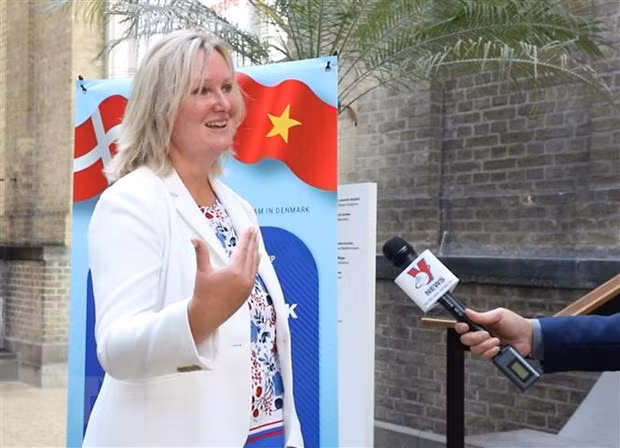 Visita a Vietnam del príncipe heredero de Dinamarca impulsa nexos bilaterales ảnh 1