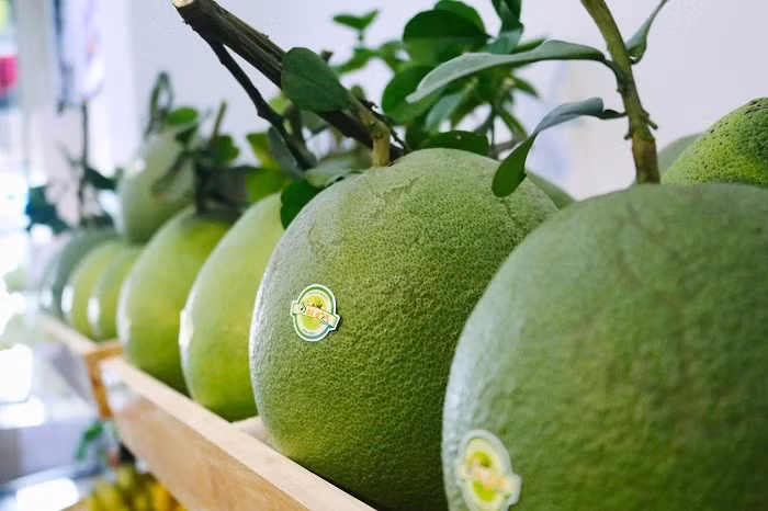 Pomelos vietnamitas frescos ingresarán oficialmente a Estados Unidos ảnh 1