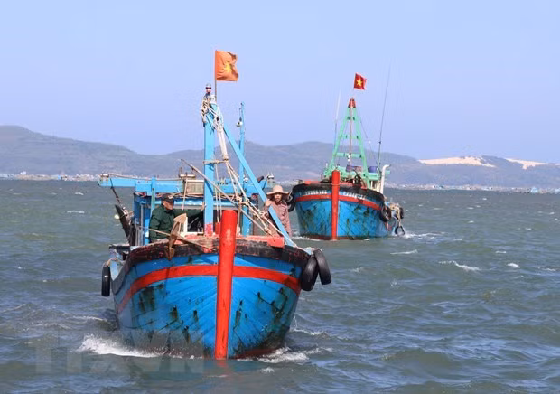 Provincia vietnamita trabaja fuertemente en lucha contra pesca ilegal ảnh 1 Provincia vietnamita trabaja fuertemente en lucha contra pesca ilegal ảnh 1