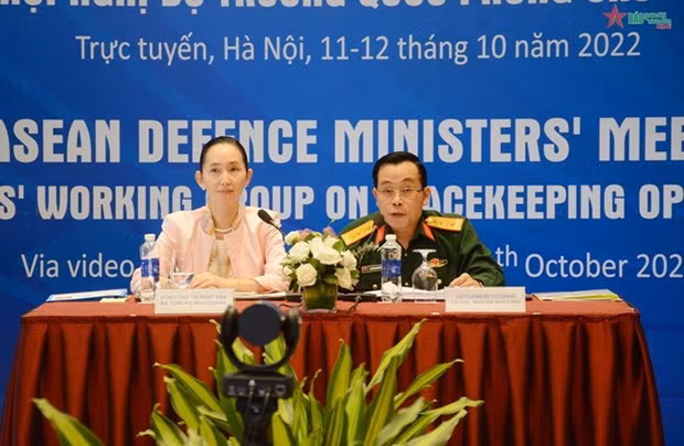 Vietnam y Japón coordinan actividades de mantenimiento de paz de ONU ảnh 1