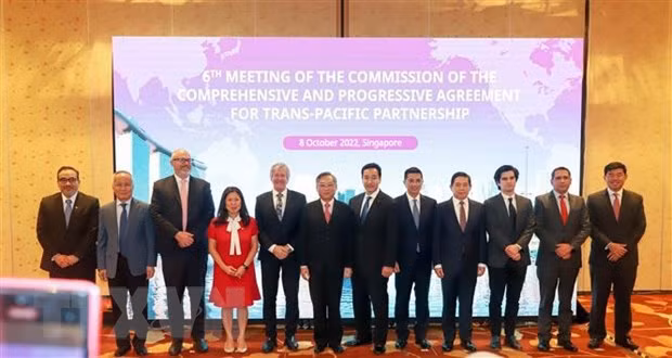 Vietnam asiste a la reunión de Comisión de CPTPP en Singapur ảnh 1