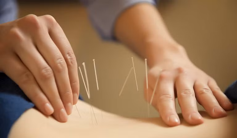 Vietnam y Japón impulsan cooperación en medicina tradicional ảnh 2