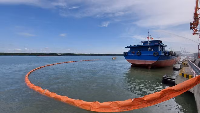 Países de Mares de Asia Oriental buscan resolver contaminación plástica en océanos ảnh 1