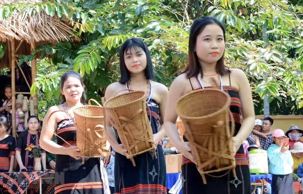 Minoría étnica de Cơ Tu en Vietnam por preservar su cultura ảnh 1