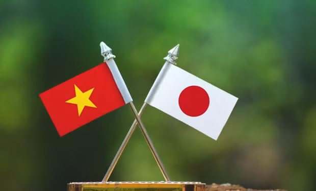 Vietnam y Japón impulsan cooperación en medicina tradicional ảnh 1