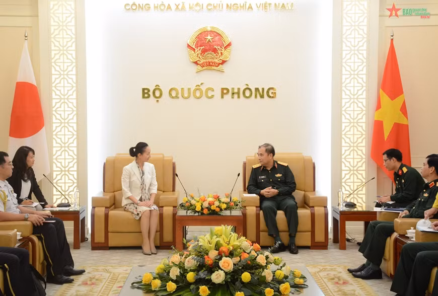 Vietnam y Japón impulsan cooperación en mantenimiento de paz de ONU ảnh 1