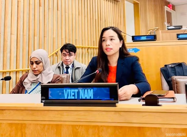 Vietnam llama a erradicar todas formas de discriminación contra mujeres y niñas ảnh 2