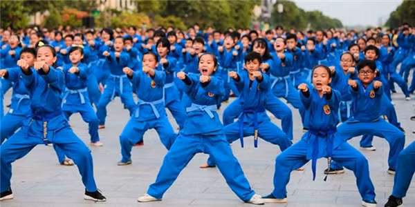 Arte marcial Viet Vo Dao, puente cultural entre Vietnam y Argelia ảnh 1