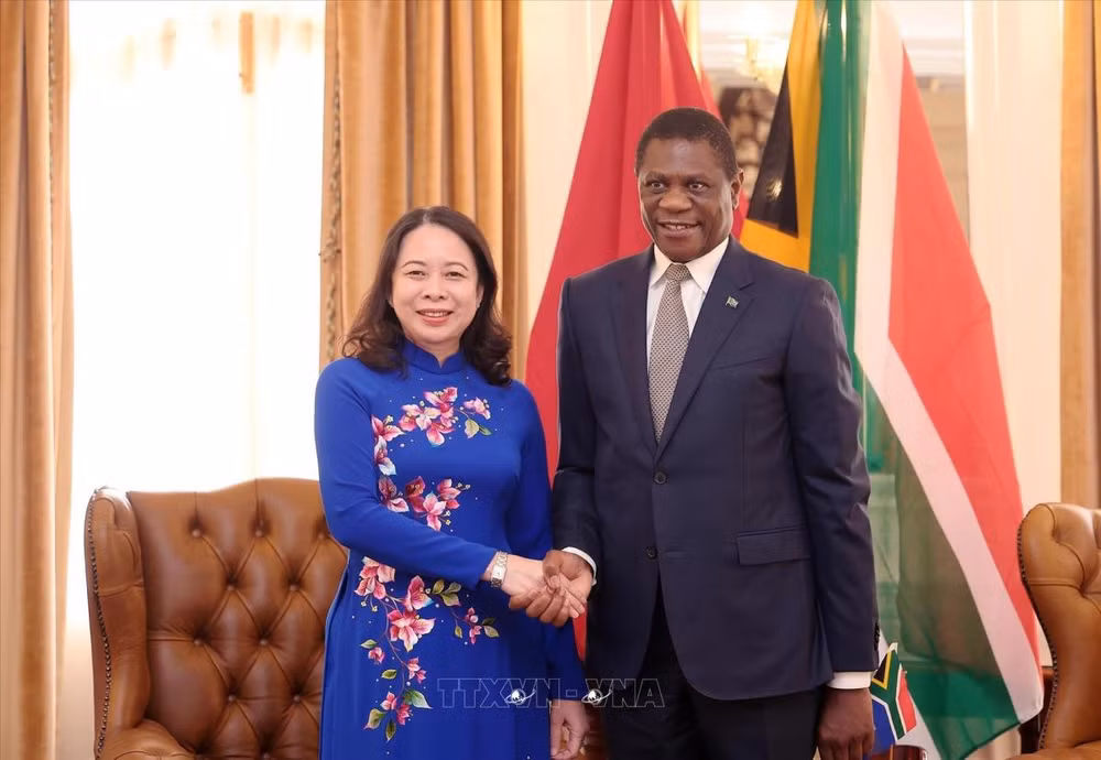 Vietnam y Sudáfrica deben reforzar más lazos económicos, según diplomático ảnh 2