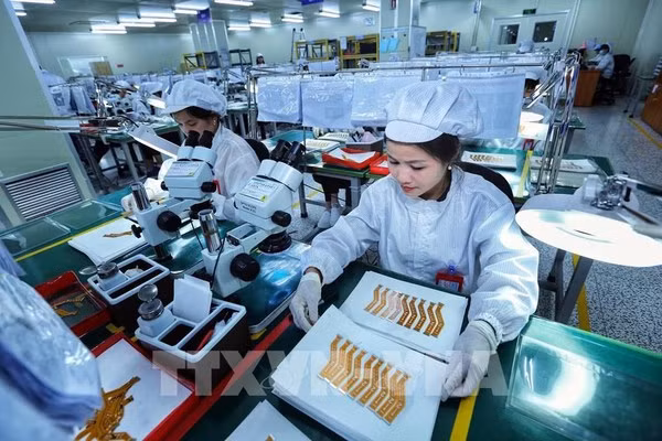 Aumenta número de nuevas empresas establecidas en Vietnam en 2023 ảnh 1