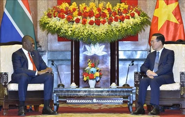 Presidente vietnamita se reúne con vicepresidente sudafricano ảnh 1