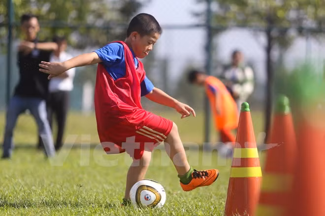 FIFA dona más de 50 mil balones a escuelas de Vietnam ảnh 1