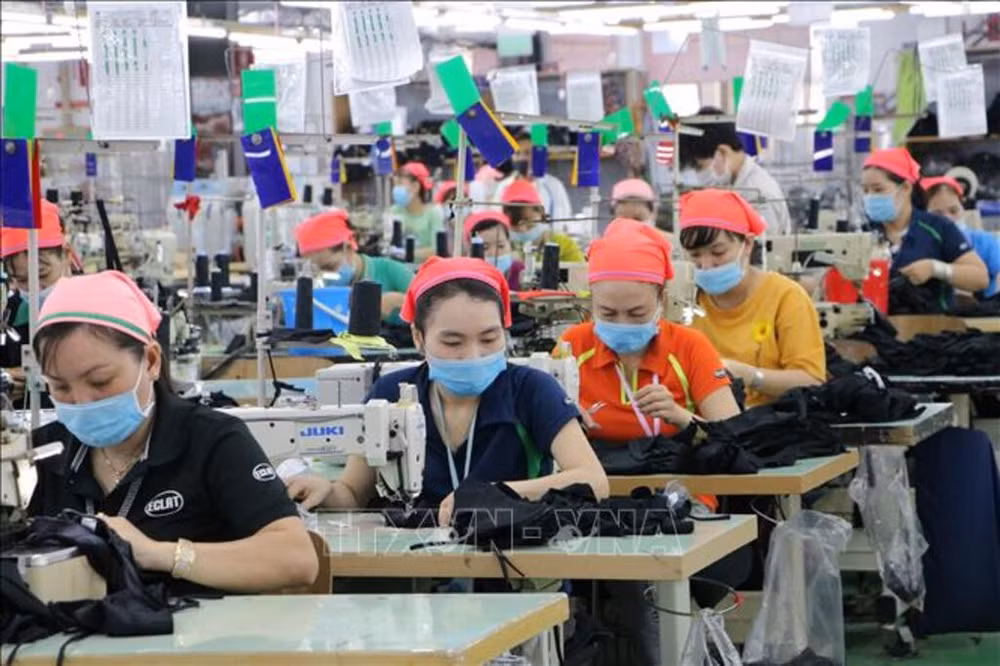 Ministro de Finanzas resalta política fiscal en crecimiento económico de Vietnam ảnh 2