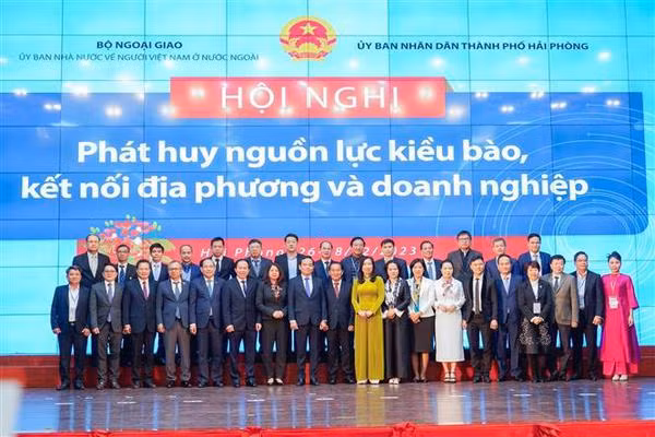 Conferencia busca promover recursos vietnamitas en el extranjero y conectar localidades y empresas ảnh 1