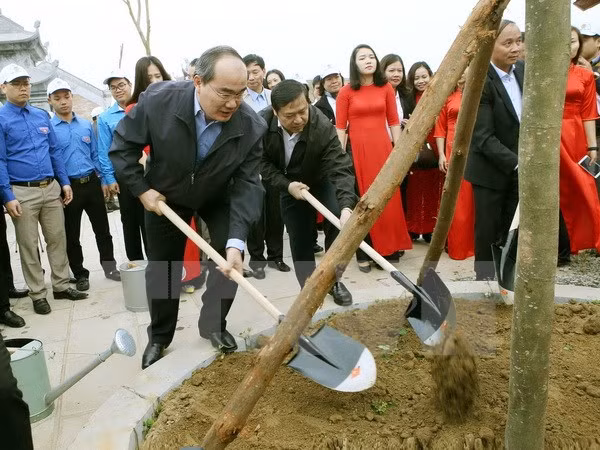 Promueven en Vietnam el movimiento de protección forestal ảnh 1
