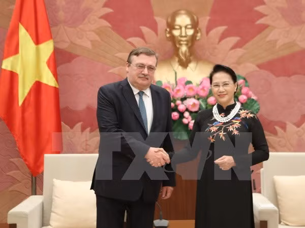 Presidenta del Parlamento de Vietnam destaca relaciones con Suecia y Hungría ảnh 2 Presidenta del Parlamento de Vietnam destaca relaciones con Suecia y Hungría ảnh 2