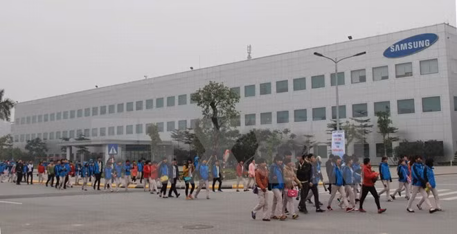 Vietnam, país con mayor potencial para devenir en Valle de Silicona regional ảnh 1