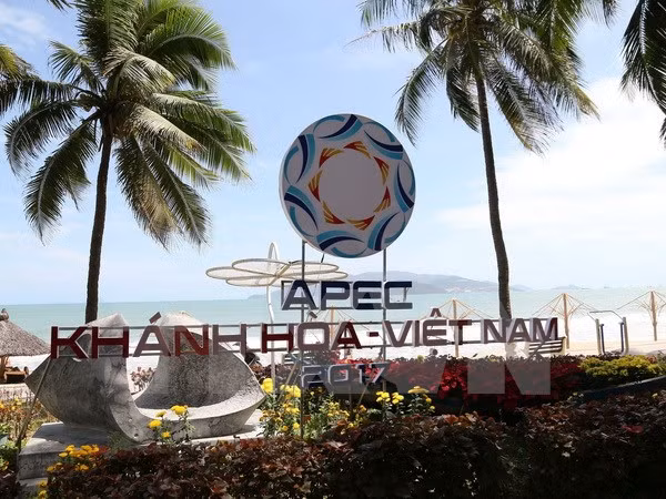Continúan en Vietnam reuniones de altos funcionarios de APEC ảnh 1