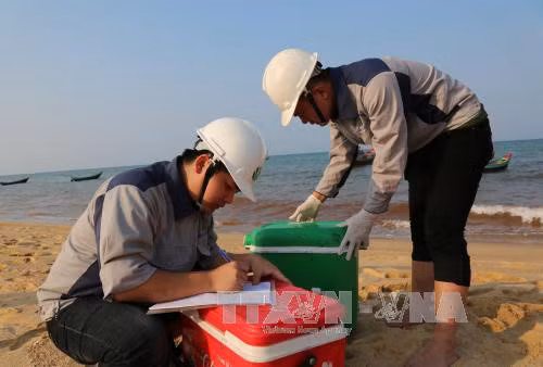 Urgen a control del ambiente marino en provincias centrovietnamitas ảnh 1