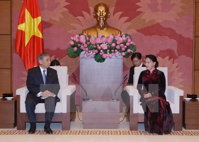 Parlamento vietnamita hará máximos esfuerzos por impulsar nexos con Japón ảnh 1