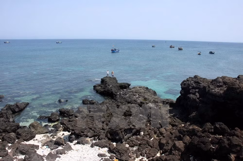 Forman zona de reserva marina en provincia central de Vietnam ảnh 1