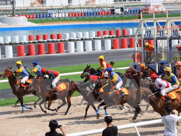 Gobierno vietnamita avala apuestas en carreras de perros y caballos ảnh 1
