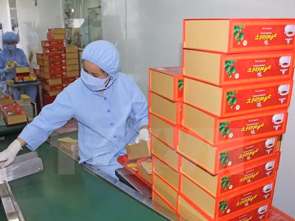 Inauguran en Ciudad Ho Chi Minh Semana de Medicina tradicional ảnh 1