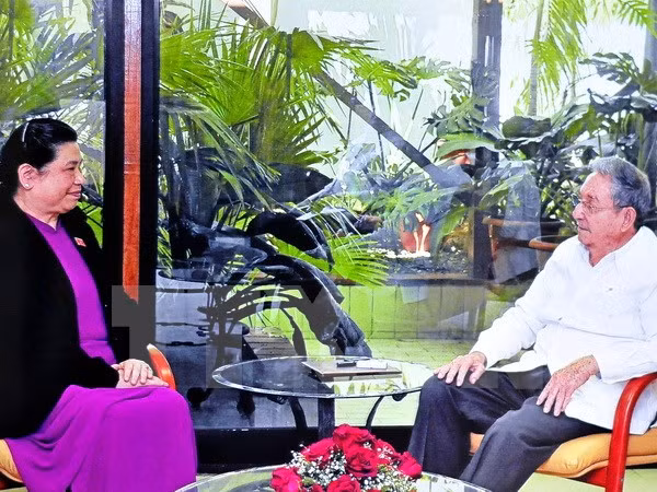 Recibe presidente cubano a dirigente parlamentaria de Vietnam ảnh 1
