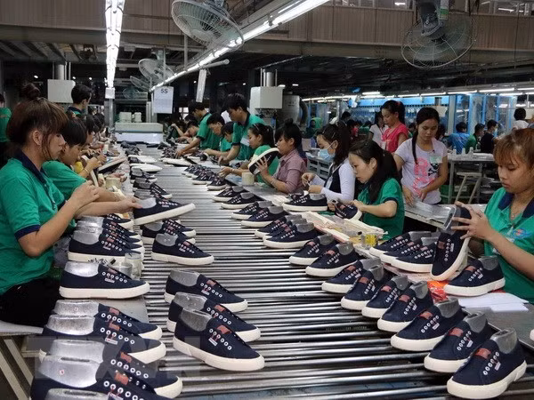 Inversores de Estados Unidos y la UE inyectan capitales en localidades sureñas de Vietnam ảnh 1
