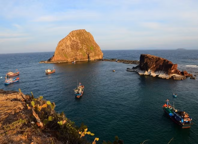Exige Vietnam protección para arrecifes de coral en Hon Yen ảnh 1