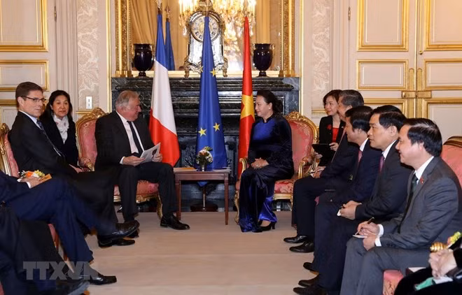 Francia, socio prioritario de Vietnam, expresa titular parlamentaria ảnh 1