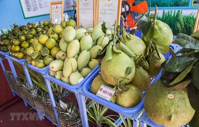 Decrecen en Vietnam ingresos por exportaciones agropecuarias y acuícolas en el primer trimestre del año ảnh 1