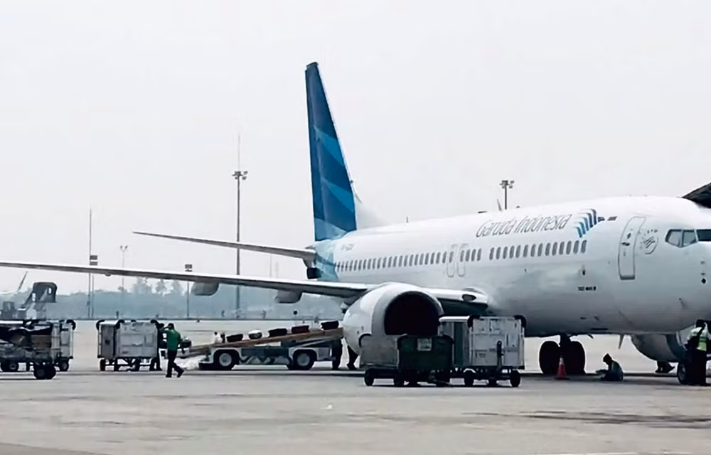 Comprará Aerolínea indonesia Garuda aviones de Airbus en sustitución del Boeing 737 MAX ảnh 1