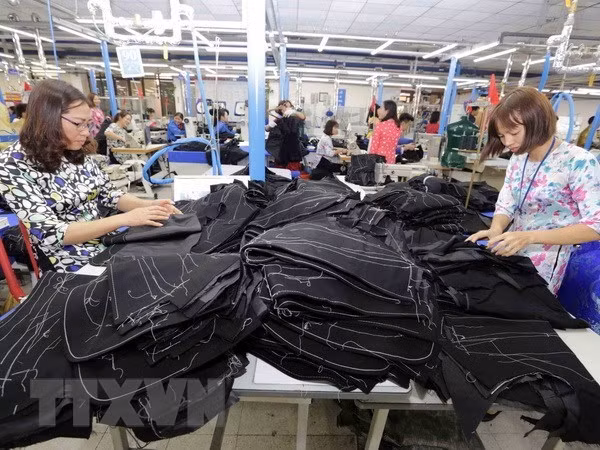 Llaman en Vietnam a incrementar salarios de trabajadores textiles ảnh 1