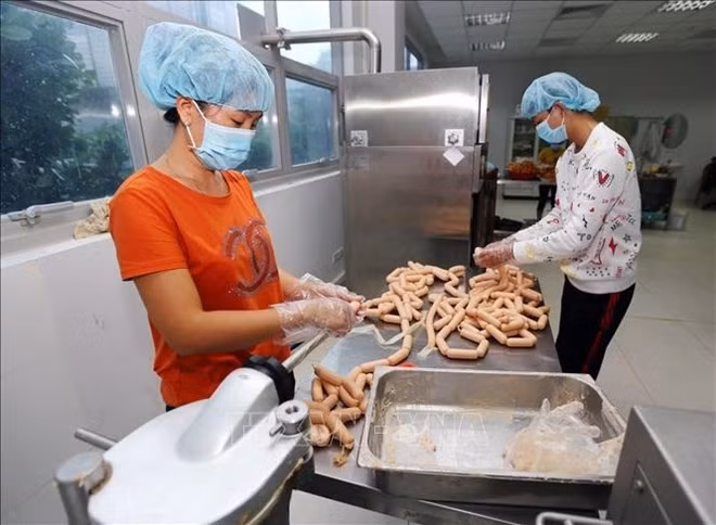 Prioriza Vietnam inversiones para la industria de procesamiento de alimentos ảnh 1 Prioriza Vietnam inversiones para la industria de procesamiento de alimentos ảnh 1