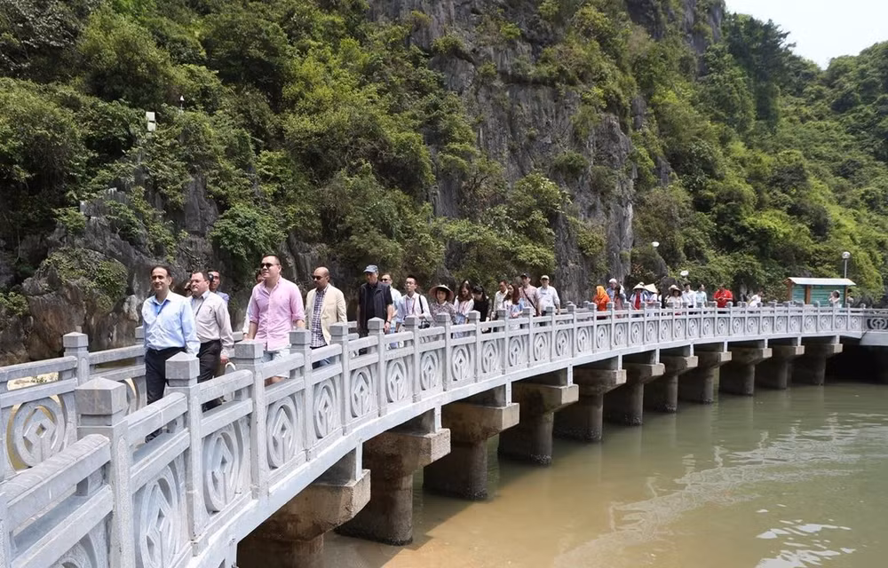 Delegados de la OANA aprecian belleza de la Bahía de Ha Long ảnh 1