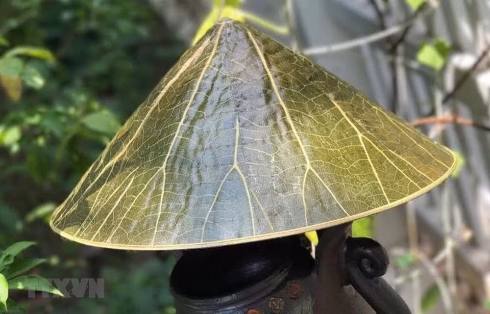 Festival de Oficios Tradicionales de Hue atrae a artesanos extranjeros ảnh 1