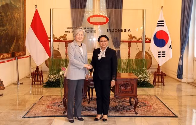 Corea del Sur e Indonesia fortalecen la relación bilateral ảnh 1