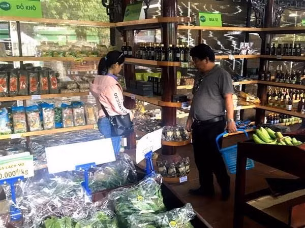 Promoverán productos vietnamitas en Sudáfrica ảnh 1