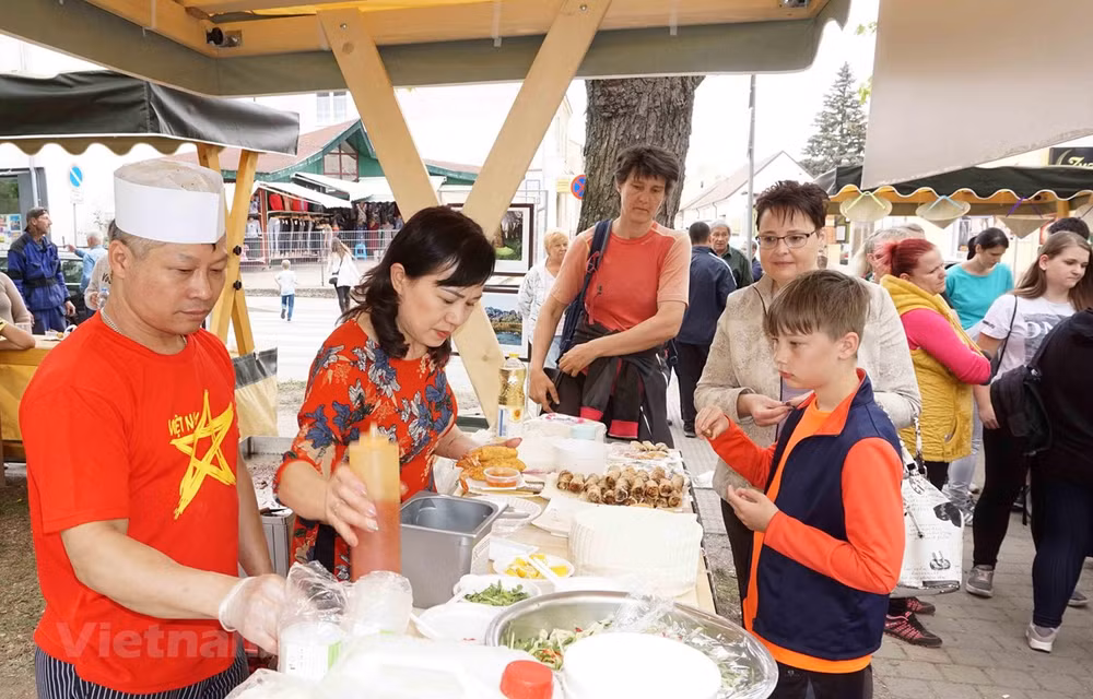 Acercan cultura vietnamita a amigos checos ảnh 1