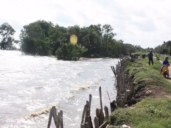 Debaten Vietnam y Países Bajos sobre gestión del agua en Delta del río Mekong ảnh 1