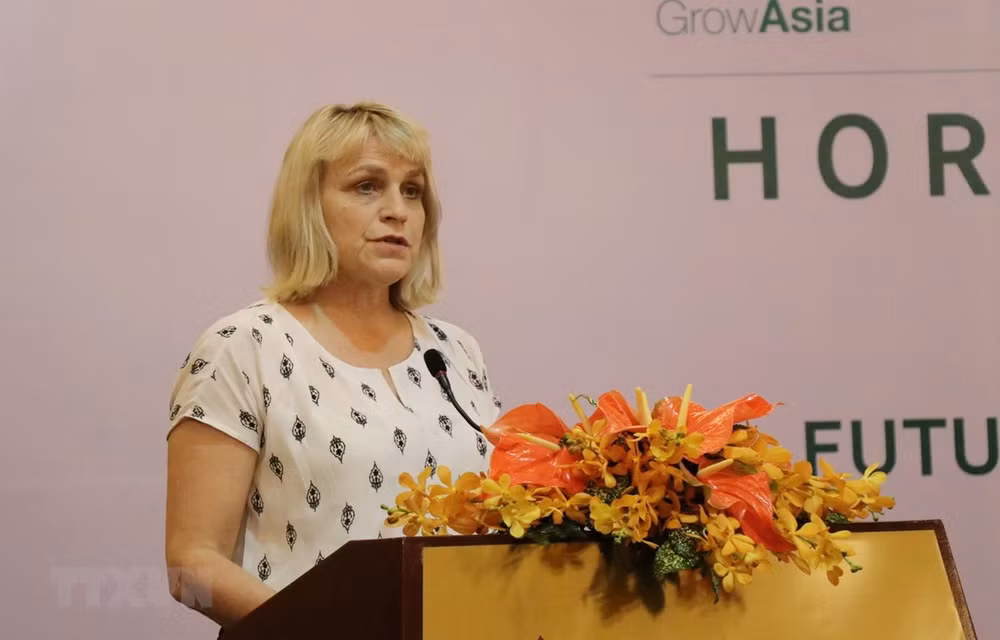 Vietnam y Países Bajos comparten experiencias de cultivo ảnh 1 Vietnam y Países Bajos comparten experiencias de cultivo ảnh 1