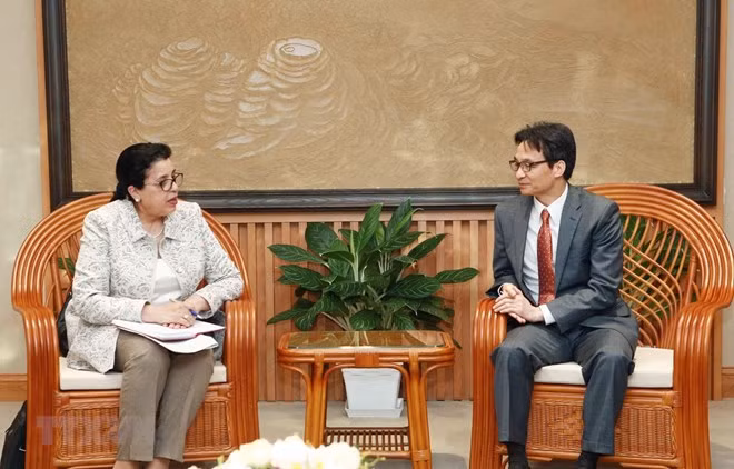 Vicepremier vietnamita destaca relaciones entre su país y OIEA ảnh 1