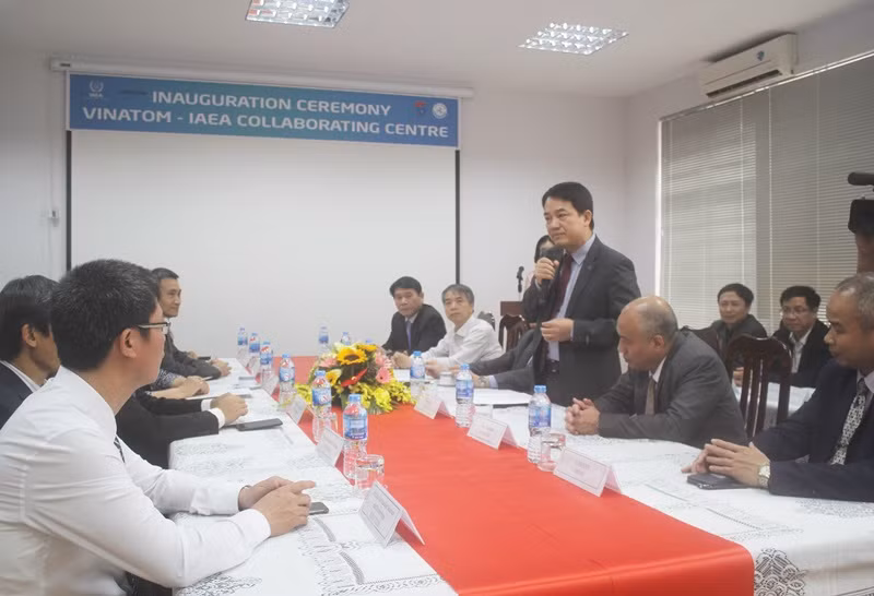 Coopera el OIEA con Vietnam en protección del medio ambiente ảnh 1