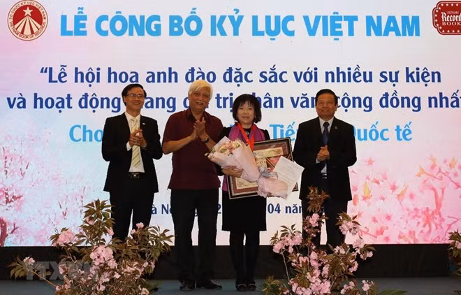 Otorgan en Vietnam registro al Festival japonés de la flor de cerezo ảnh 1 Otorgan en Vietnam registro al Festival japonés de la flor de cerezo ảnh 1