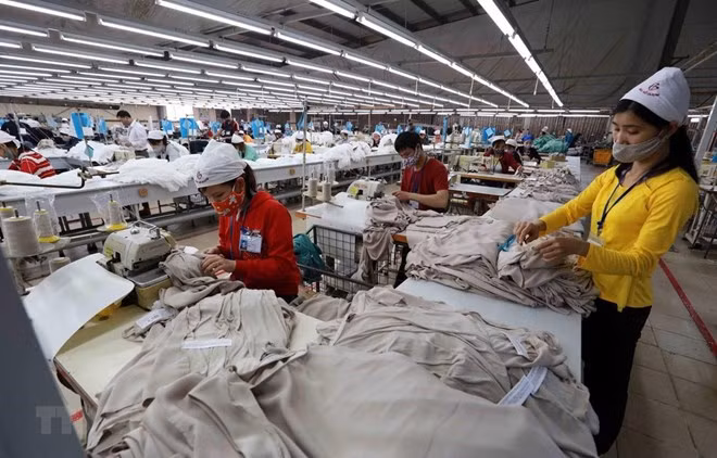 Orienta Vietnam cumplimiento del Acuerdo Transpacífico por parte de las localidades ảnh 1 Orienta Vietnam cumplimiento del Acuerdo Transpacífico por parte de las localidades ảnh 1
