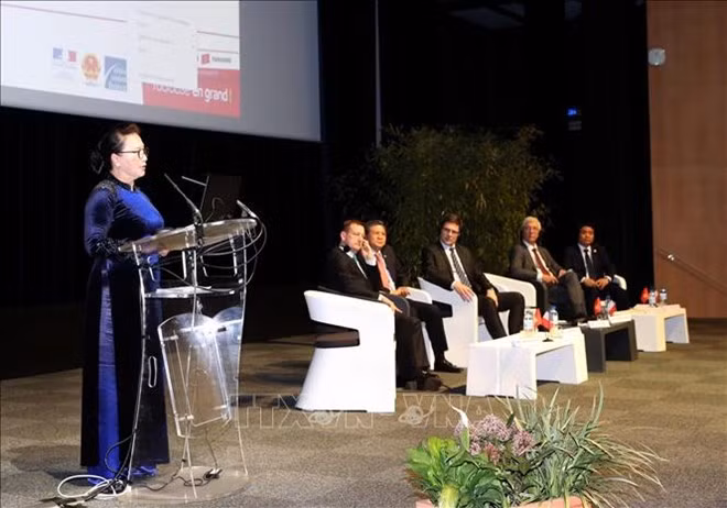 Culmina Conferencia sobre cooperación entre localidades de Vienam y Francia ảnh 1