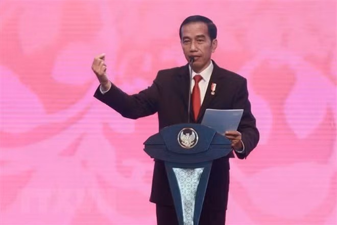 Inauguran en Indonesia tres zonas económicas especiales ảnh 1