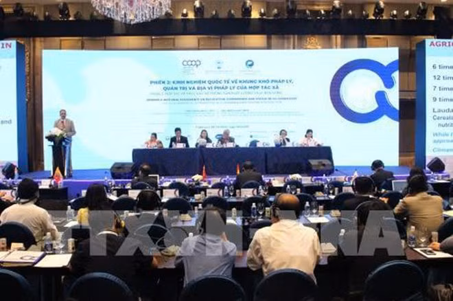 Destacan en Vietnam necesidad de crear un marco legal para el desarrollo de las cooperativas ảnh 1 Destacan en Vietnam necesidad de crear un marco legal para el desarrollo de las cooperativas ảnh 1