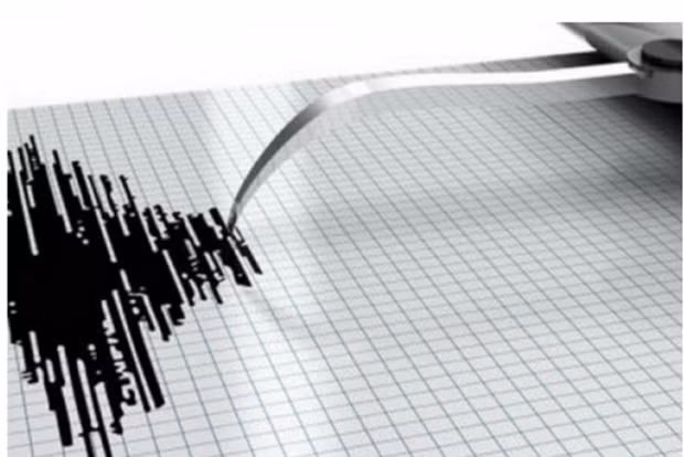 Fuertes terremotos golpean a Timor Leste e Indonesia ảnh 1 Fuertes terremotos golpean a Timor Leste e Indonesia ảnh 1